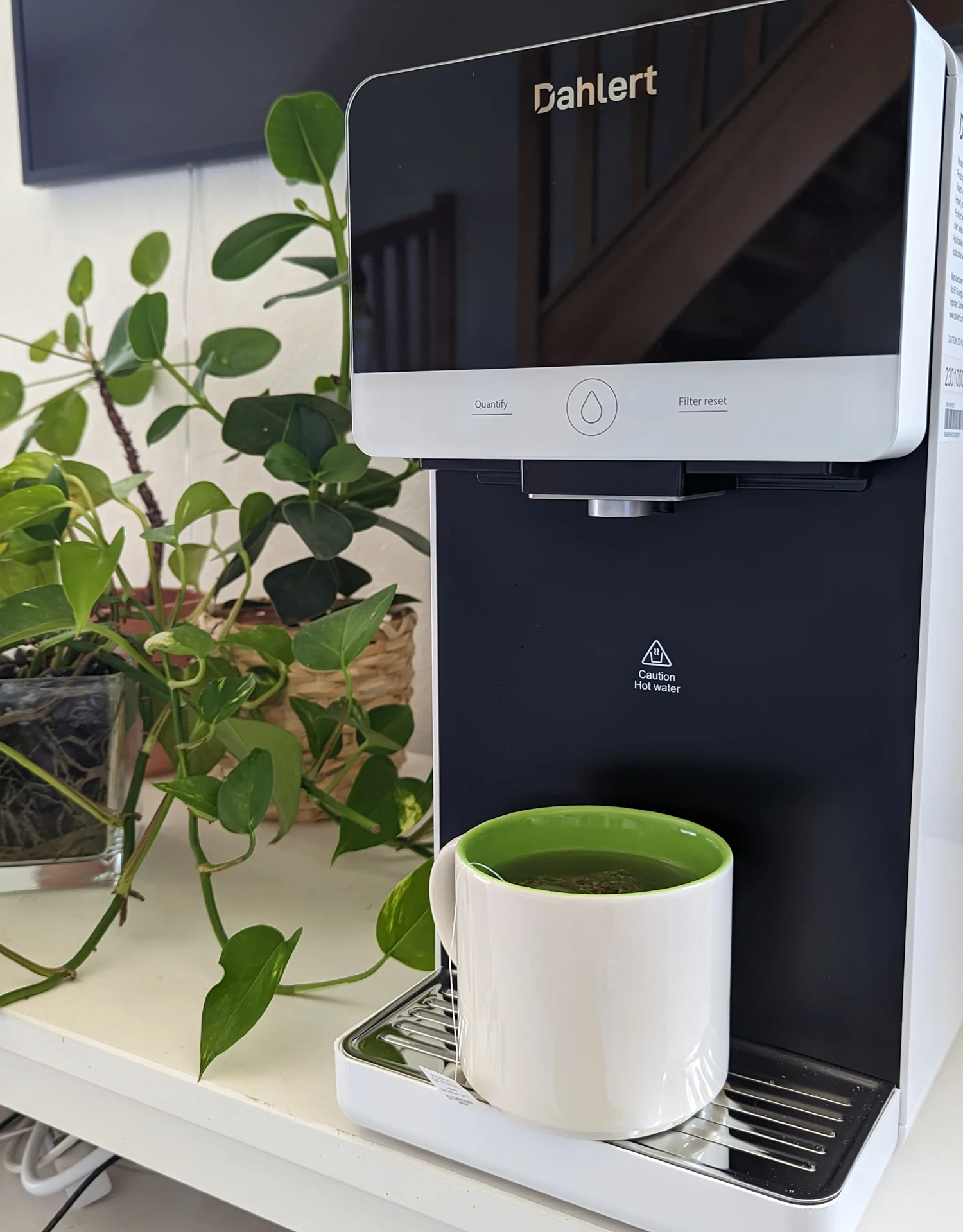 test purificateur eau Dahlert