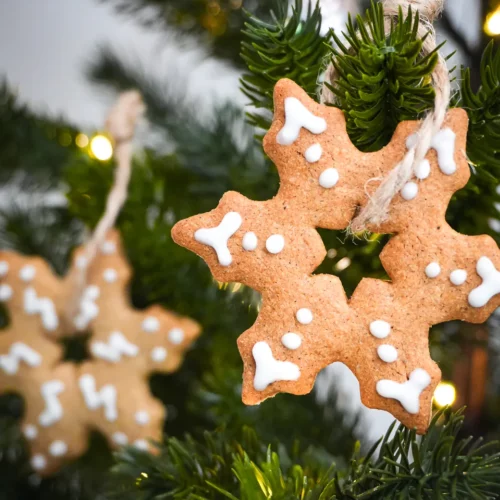 biscuits de noel decoratifs aux épices