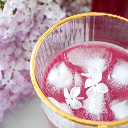 sirop de lila maison