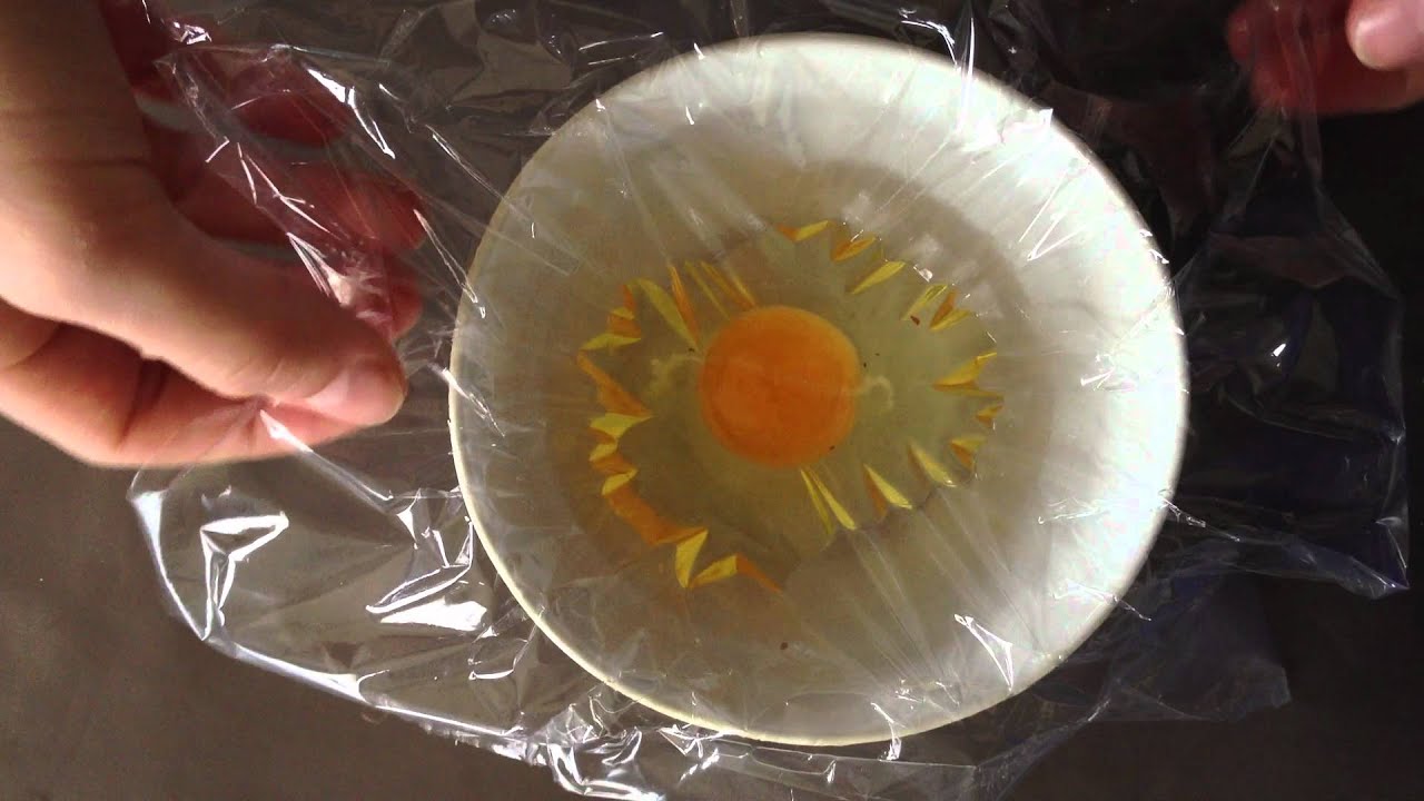 oeuf