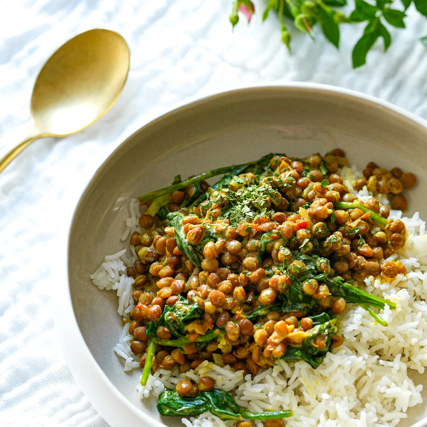 curry lentilles express epinards